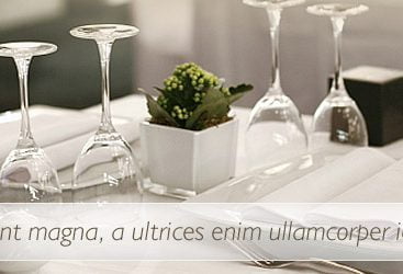 Bespoke Website Designer - Uzair Usman